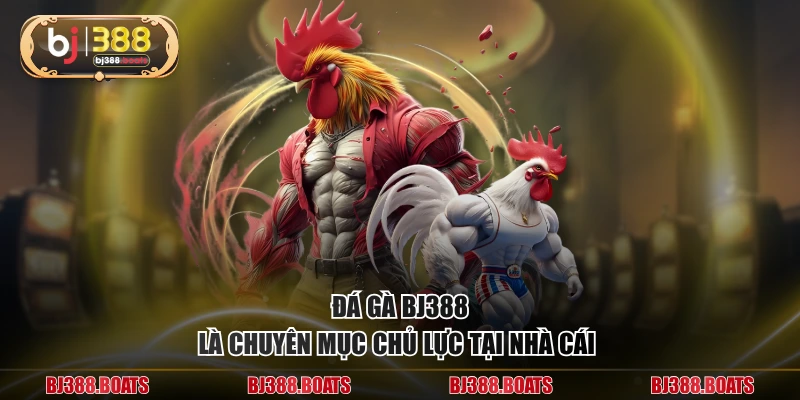 Đá gà BJ388 là chuyên mục chủ lực tại nhà cái